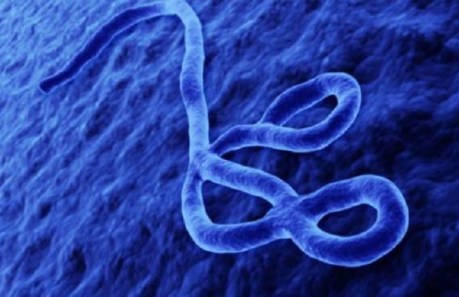 Umrla žena u Emiratima, sumnja se na ebolu