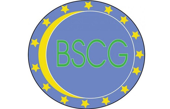 Zašto se ćuti o uzrocima iseljavanja Bošnjaka sa sjevera države