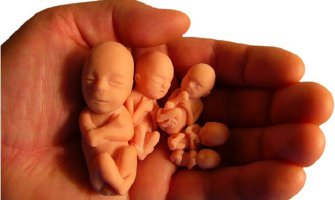 Abortus na zahjtev ponovo dostupan