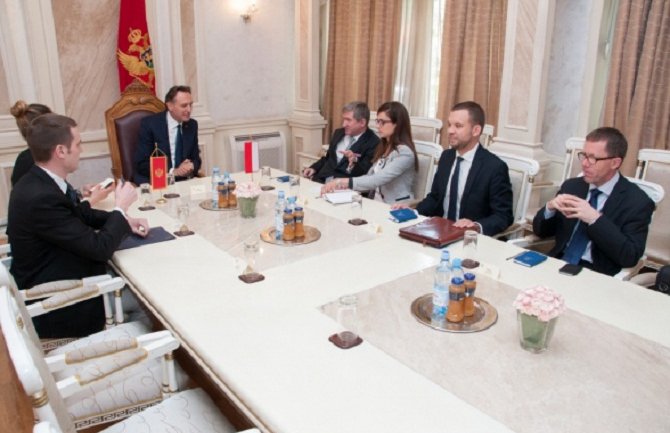 Krivokapić: Podjela odgovornosti bitna za demokratiju