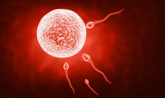 Koji muškarci imaju najzdravije spermatozoide?