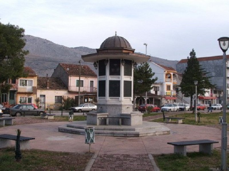 tuzi