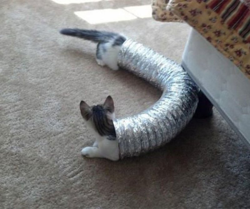 202