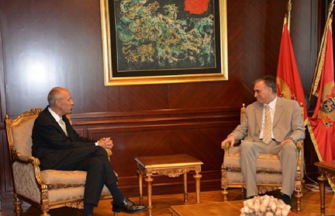 Vujanović - Gari:  Zaštita intelektualne svojine