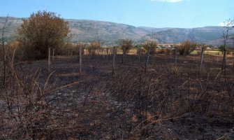  U požarima nestaju hercegovački vinogradi i voćnjaci