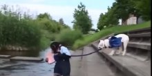 Interesantna avantura dva prijatelja, majmuna i buldoga (VIDEO)