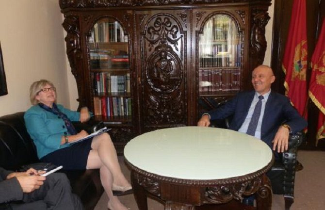  Prijateljski odnos sa Amerikom važan stub za ispunjenje zacrtanih strateških ciljeva