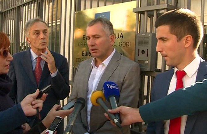 Neophodno formirati Vladu nacionalnog jedinstva uz pomoć EU