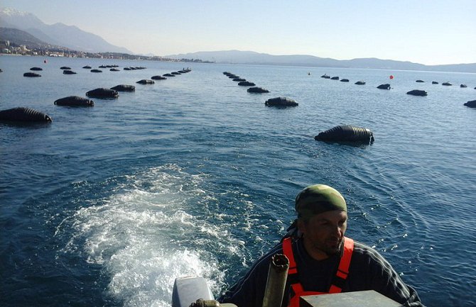 Crna Gora ispunila uslove za otvaranje pregovora u oblasti ribarstva