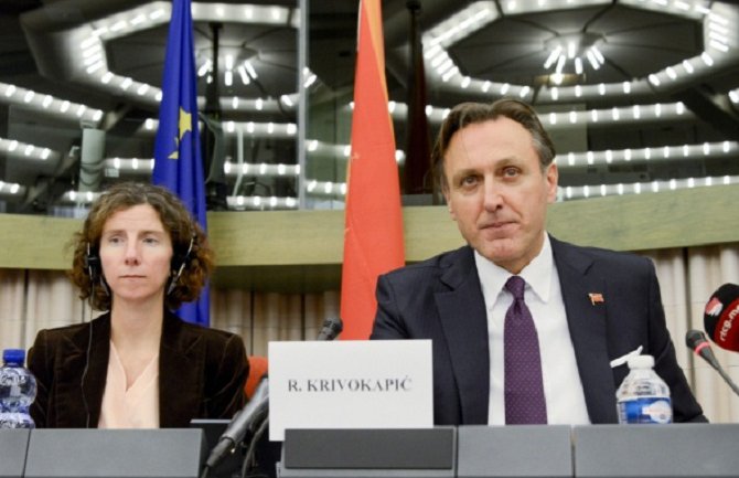 Krivokapić: Nema ekonomskog napretka bez vladavine prava