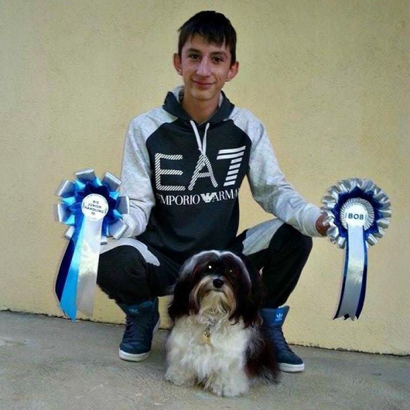 121918175494040785497861483058784883214443n 121918175494040785497861483058784883214443n