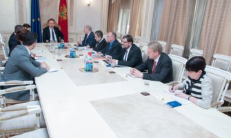 Razvoj demokratije i rast ekonomije od presudnog značaja za napredak CG