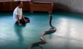 Tajland: Džinovska kobra se otima krotitelju i kreće na publiku (Video)