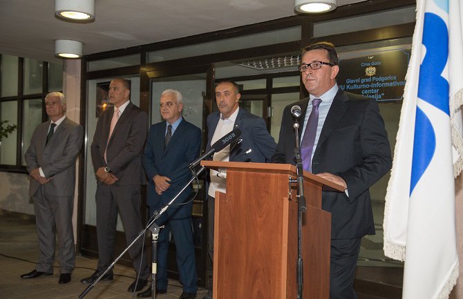 Vučelić: Crna Gora zaslužila poštovanje svih modernih demokratija