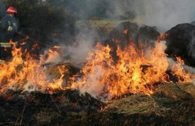 Sezonu požara dočekuju spremni: Na raspolaganju četiri aviona, 180 vozila i 500 vatrogasaca