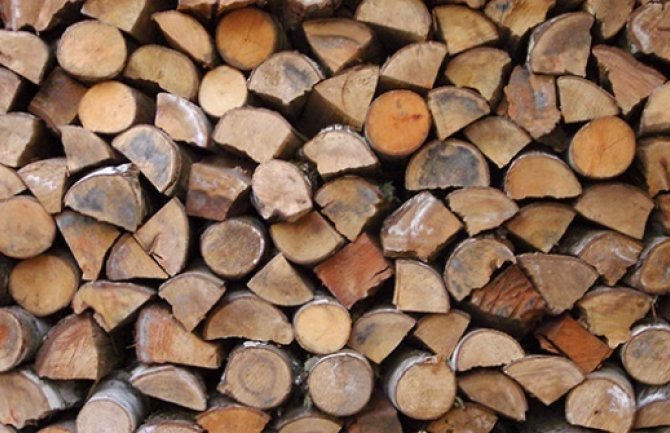 Klimenta: 700 penzionera iz Rožaja se smrzava jer ne mogu da kupe drva