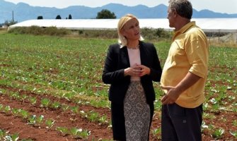 Država mora da zaštiti poljoprivredne proizvođače i domaće proizvode