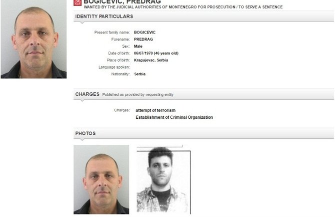 Viši sud u Kragujevcu: Bogićević u pritvoru do ekstradicije