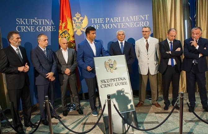 Opozicija možda u više od sedam kolona