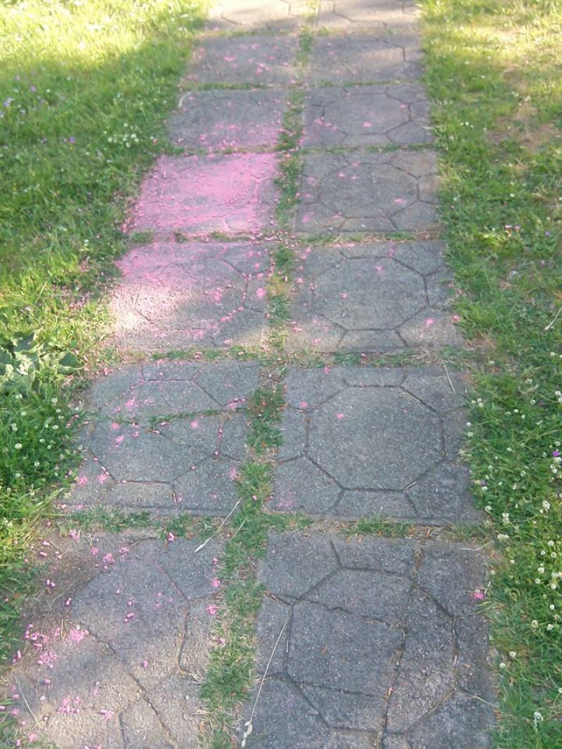 OtrovstaraVlada4