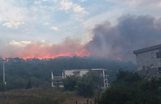 DF: NATO ostavio CG na cjedilu da se sama bori protiv požara
