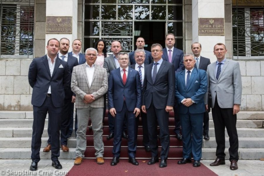 PoslaniciDPSiDFzajedno
