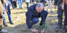 Simović sadio u BP: Očuvanje šuma je zajednička briga i odgovornost(FOTO)