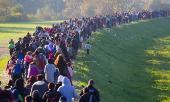 Broj migranata u svijetu za 17 godina povećan za 49%