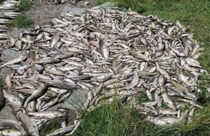 Stanje na vodotocima alarmantno, sistemski riješiti problem