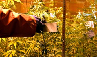 U Podgorici i Kotoru uhapšeno 14 lica, otkrivena laboratorija za proizvodnju marihuane