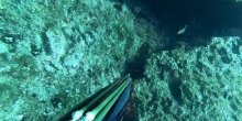 Nova detonacija na Luštici i pomor ribe (VIDEO)