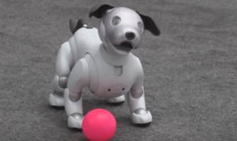 Pas robot: Ne jede, ne prlja, ne traži šetnju i nije jeftina igračka (VIDEO)