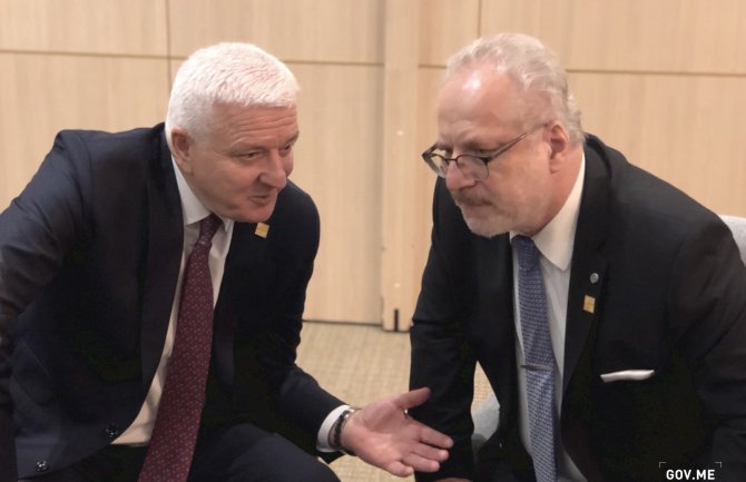 Razmjena iskustava u oblasti suprotstavljanja hibridnim prijetnjama izuzetno značajna 