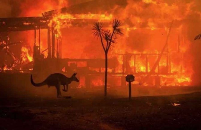 Australija: Borba s požarima prelazi u ofanzivu