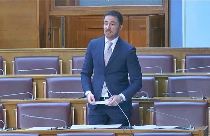 Bogdanović: Vlada ne marginalizuje Njegoša