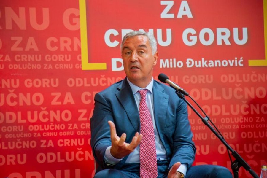 FOTO2