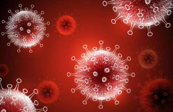 SZO: Ovo nije posljednja epidemija