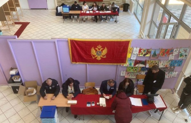 CEMI:  Do 18 sati glasalo 56,6% birača