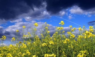 Sunčano, povremeno slaba oblačnost
