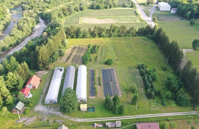 Uspješna sjemenska i rasadničarska proizvodnja obilježila prvu polovinu 2023. godine
