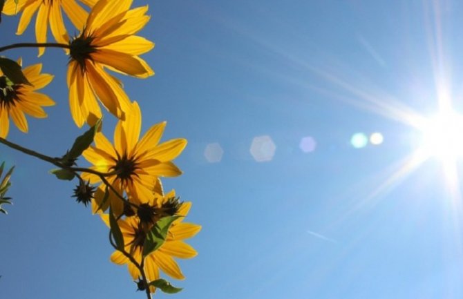 Sjutra pretežno sunčano, do 36 stepeni