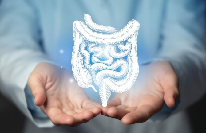 Četiri podmukla simptoma nezdravih crijeva: Organ važan za imunitet