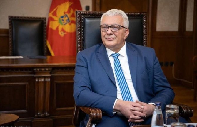 NSD bira predsjednika, Mandić jedini kandidat