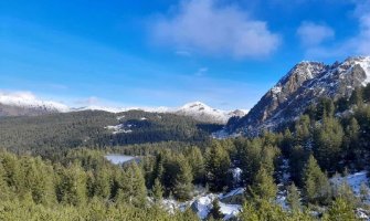 Potkornjak pronađen i na milikama na Hridskom jezeru, otporan na zimu