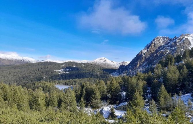 Potkornjak pronađen i na milikama na Hridskom jezeru, otporan na zimu