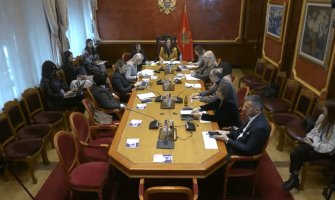 Milović, Nišić i Šaranović 25. marta pred Odborom za rodnu ravnopravnost