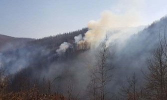 OB Bijelo Polje radi na otkrivanju lica koja su izazvala šumske požare: Primljeno 16 prijava građana