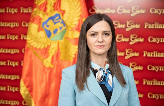Andrić: Imate, kažete, stabilnu većinu, pa đe vam je kvorum?